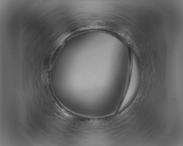 X0000057041177200509231439
