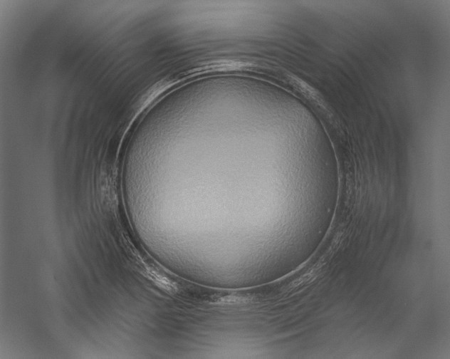 X0000057041178200509231439