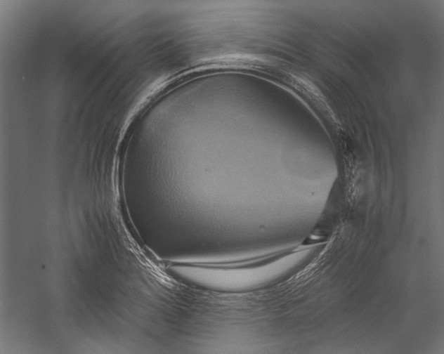 X0000057041180200509231439