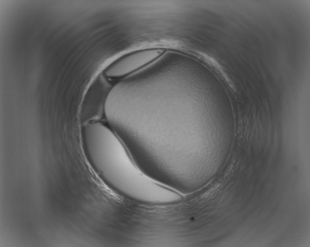 X0000057041184200509231439