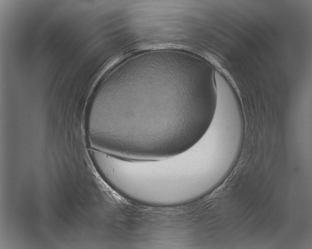 X0000057041189200509231439