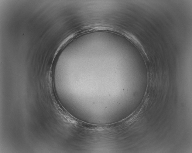 X0000057041190200509231439