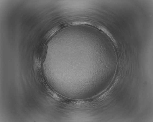 X0000057041193200509231439
