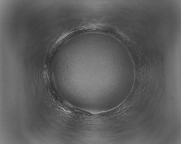 X0000057041206200509231438