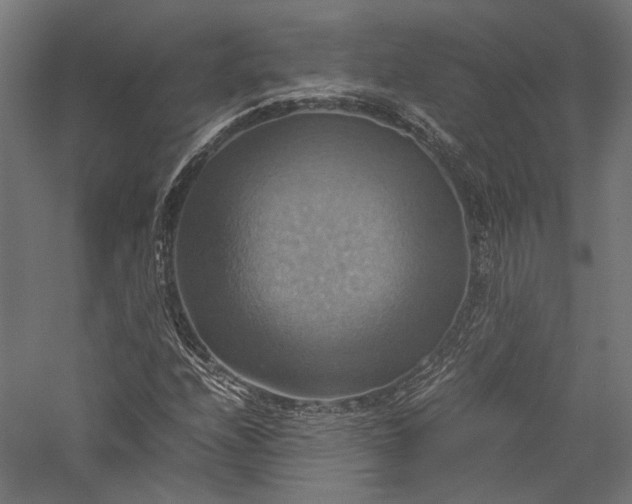 X0000057041208200509231438