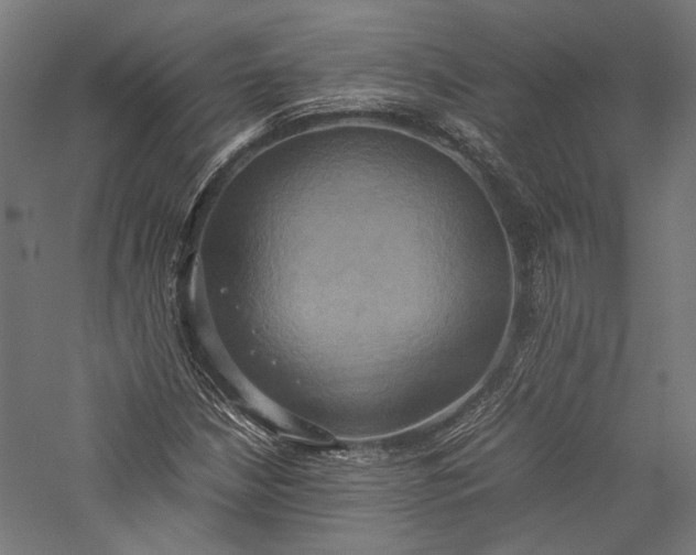 X0000057041210200509231438