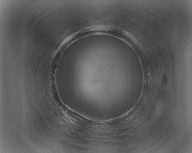 X0000057041213200509231438