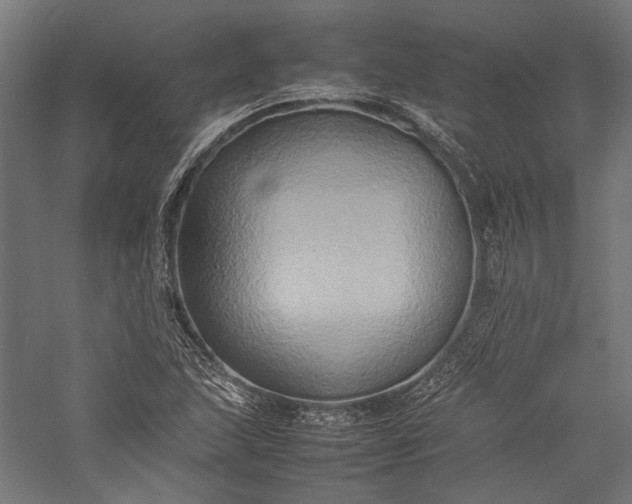 X0000057041215200509231438