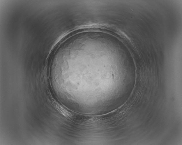X0000057041216200509231438