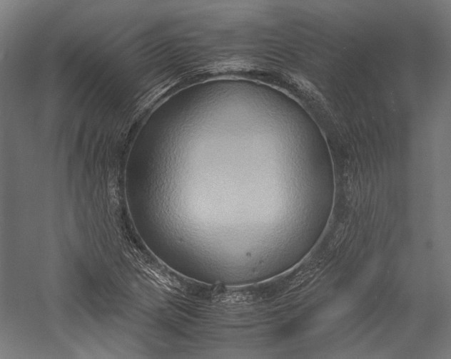 X0000057041217200509231438