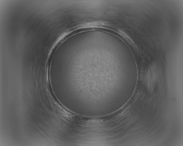 X0000057041224200509231438