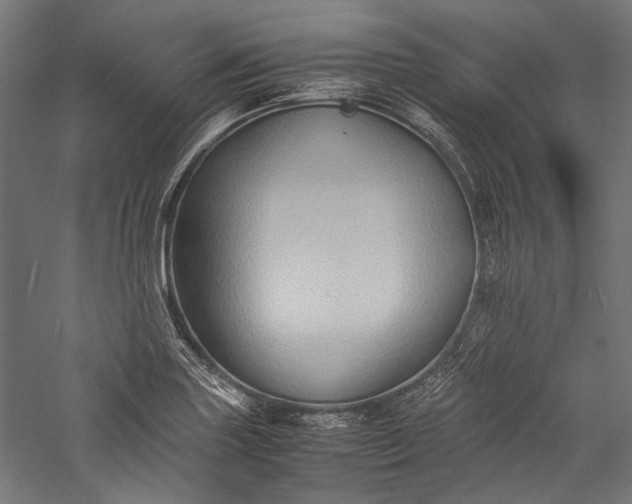 X0000057041227200509231438
