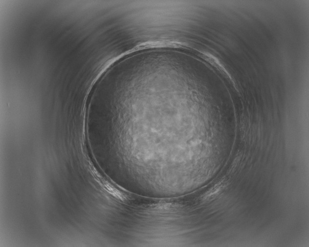 X0000057041228200509231438