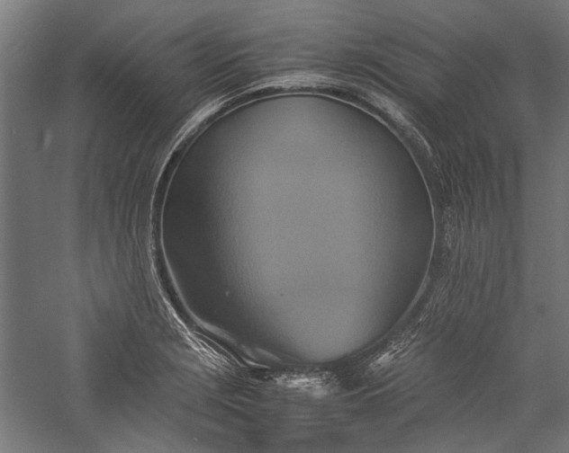 X0000057041229200509231438