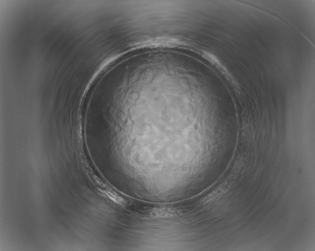 X0000057041232200509231438