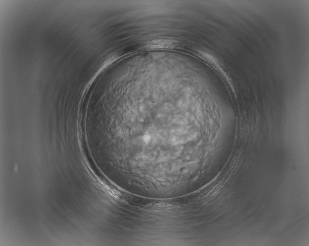 X0000057041235200509231438