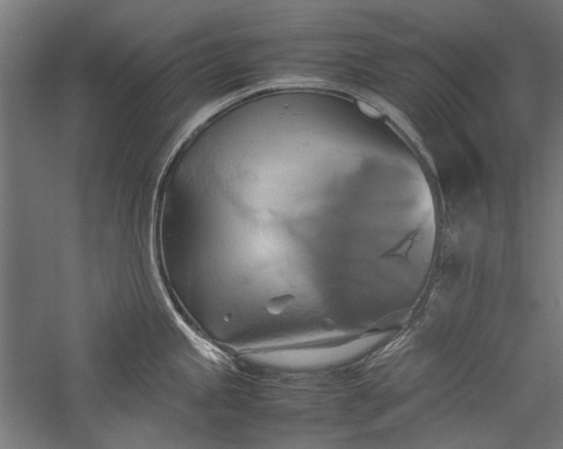 X0000057041245200509231439