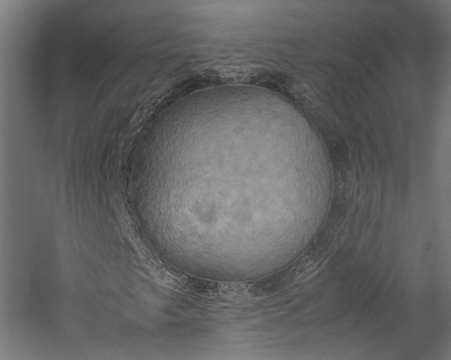 X0000057041249200509231438