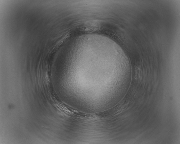 X0000057041250200509231438