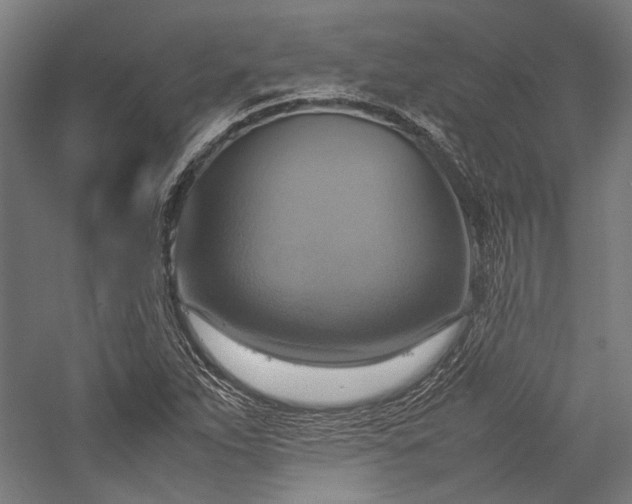 X0000057041263200509231438
