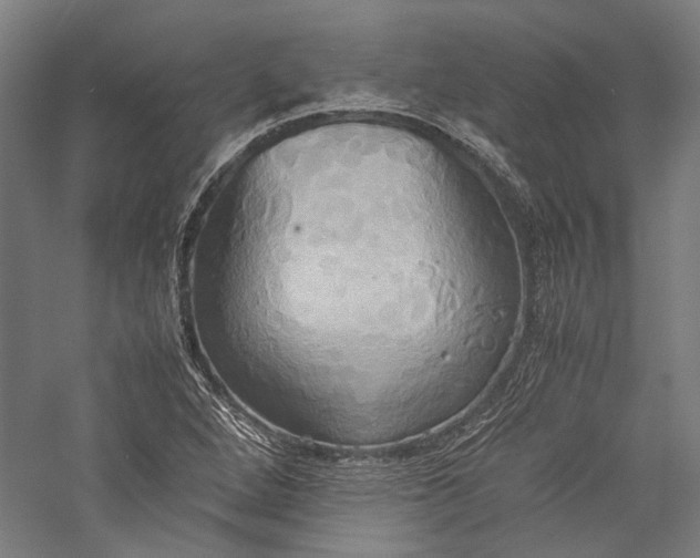X0000057041264200509231438