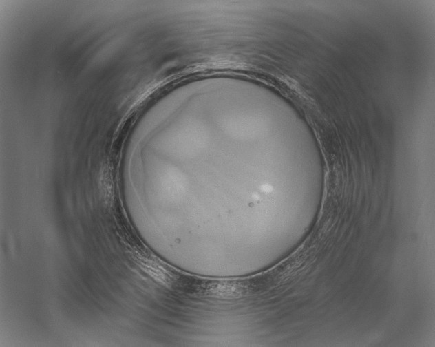 X0000057041266200509231438