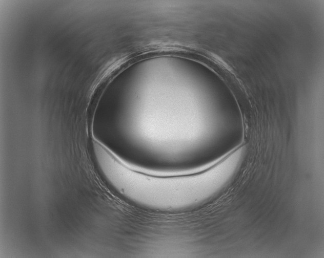 X0000057041269200509231438