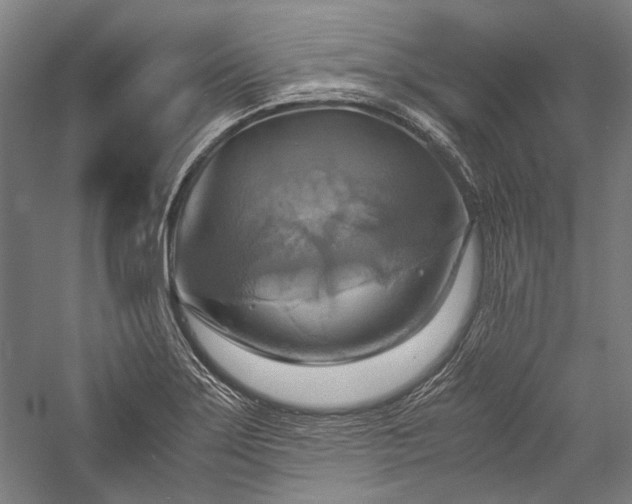 X0000057041275200509231437