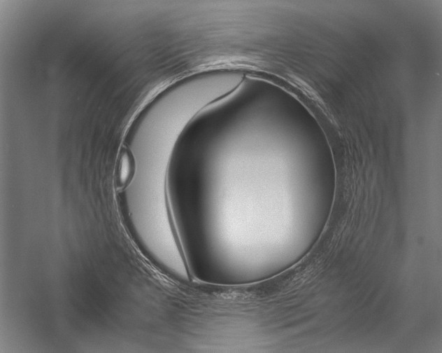 X0000057041277200509231437