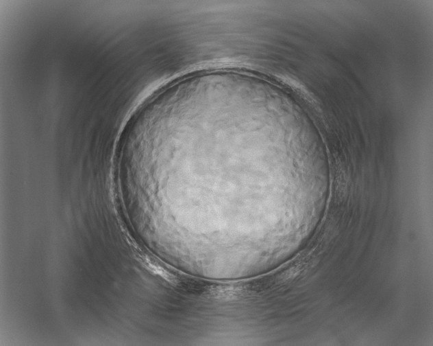 X0000057041278200509231437