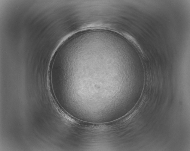 X0000057041288200509231437