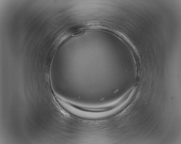X0000057041289200509231437