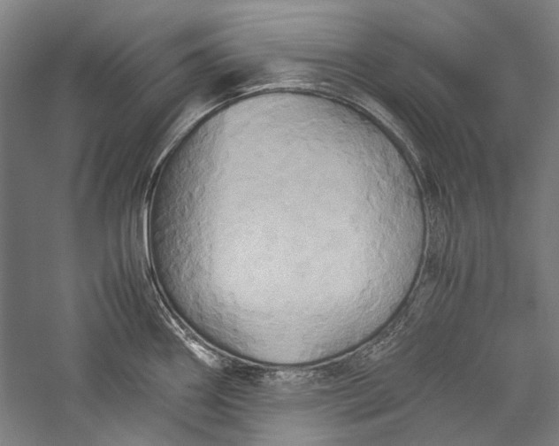 X0000057041290200509231437