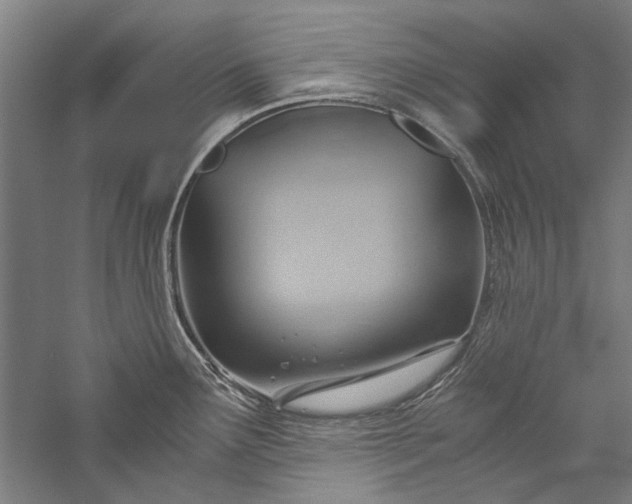 X0000057041291200509231437