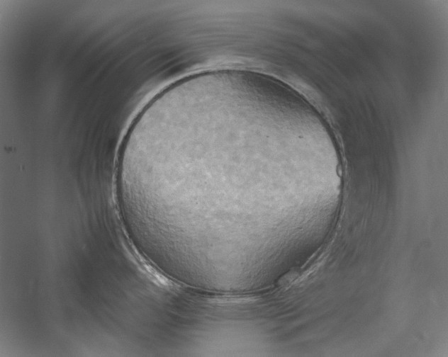 X0000057041296200509231437