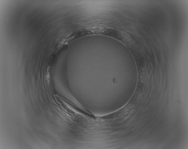 X0000057041298200509231436