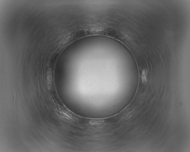 X0000057041299200509231436