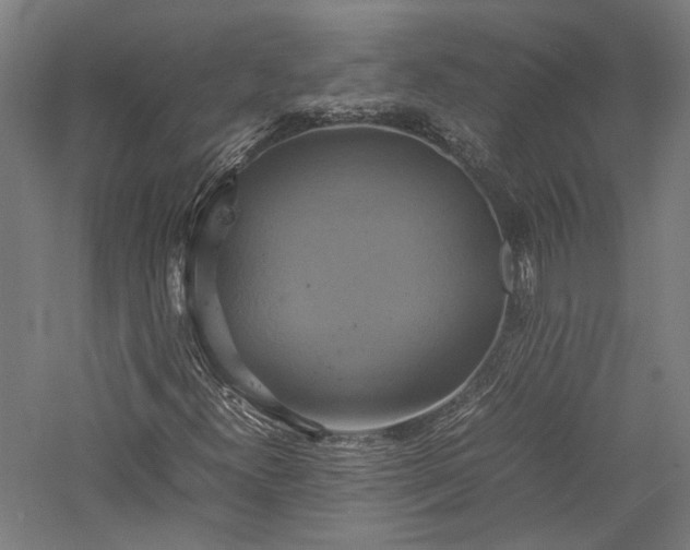 X0000057041300200509231436