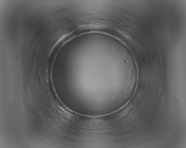 X0000057041306200509231436