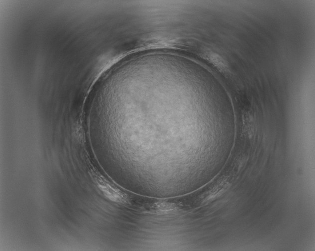 X0000057041308200509231436