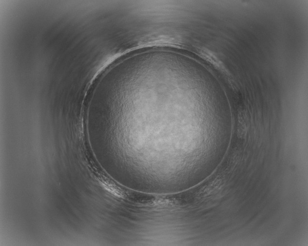 X0000057041316200509231437