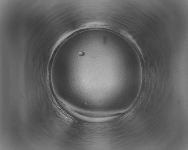 X0000057041336200509231437