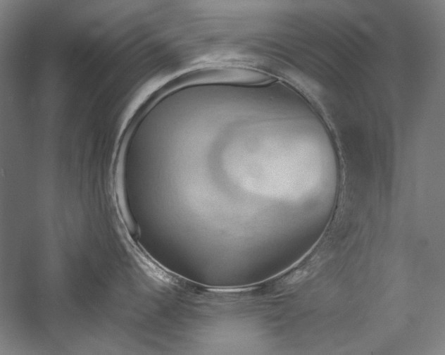 X0000057041344200509231437