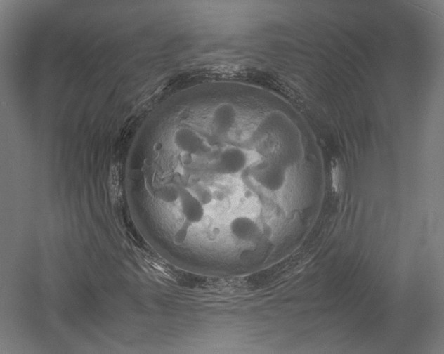 X0000057041347200509231436