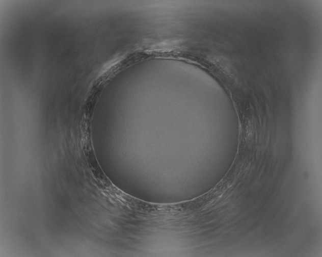 X0000057041350200509231436
