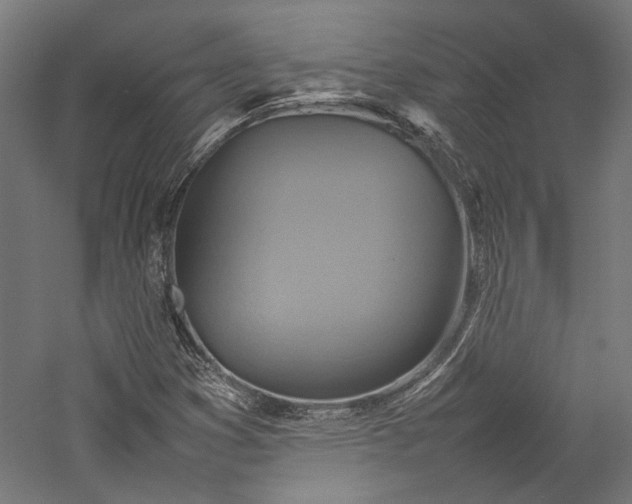 X0000057041353200509231436
