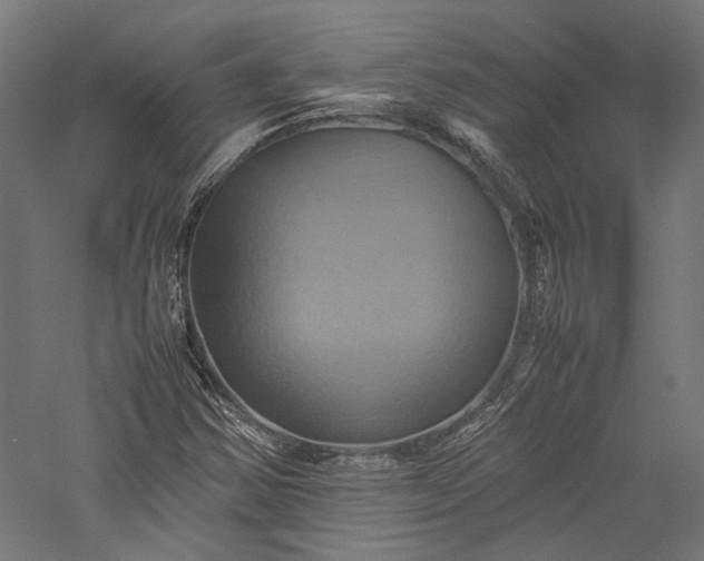 X0000057041354200509231436