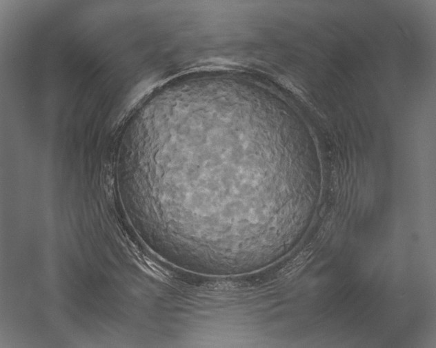 X0000057041355200509231436