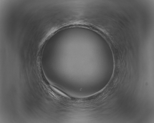 X0000057041359200509231436