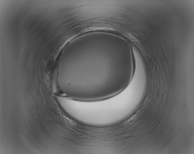 X0000057041369200509231436